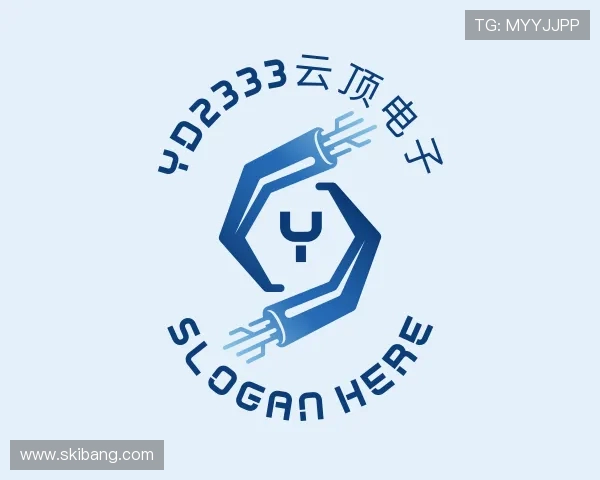认识yd2333云顶电子
